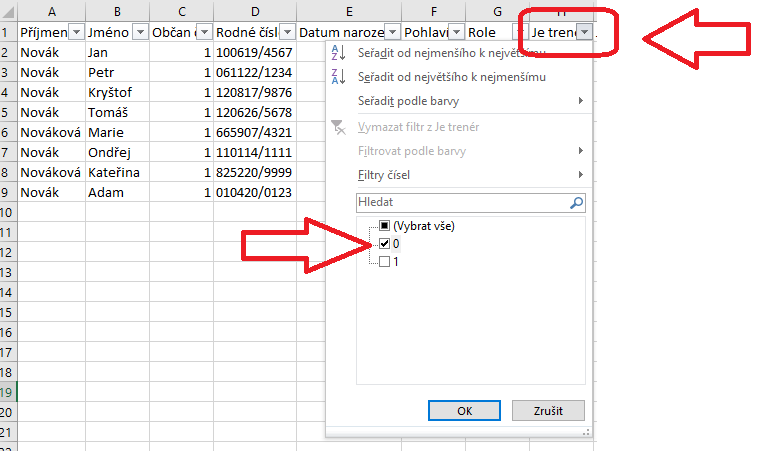 07-excel-cus-filtr-netrener