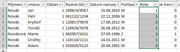 12-excel-cus-vyber-roli